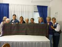 Sheep to Shawl 2015