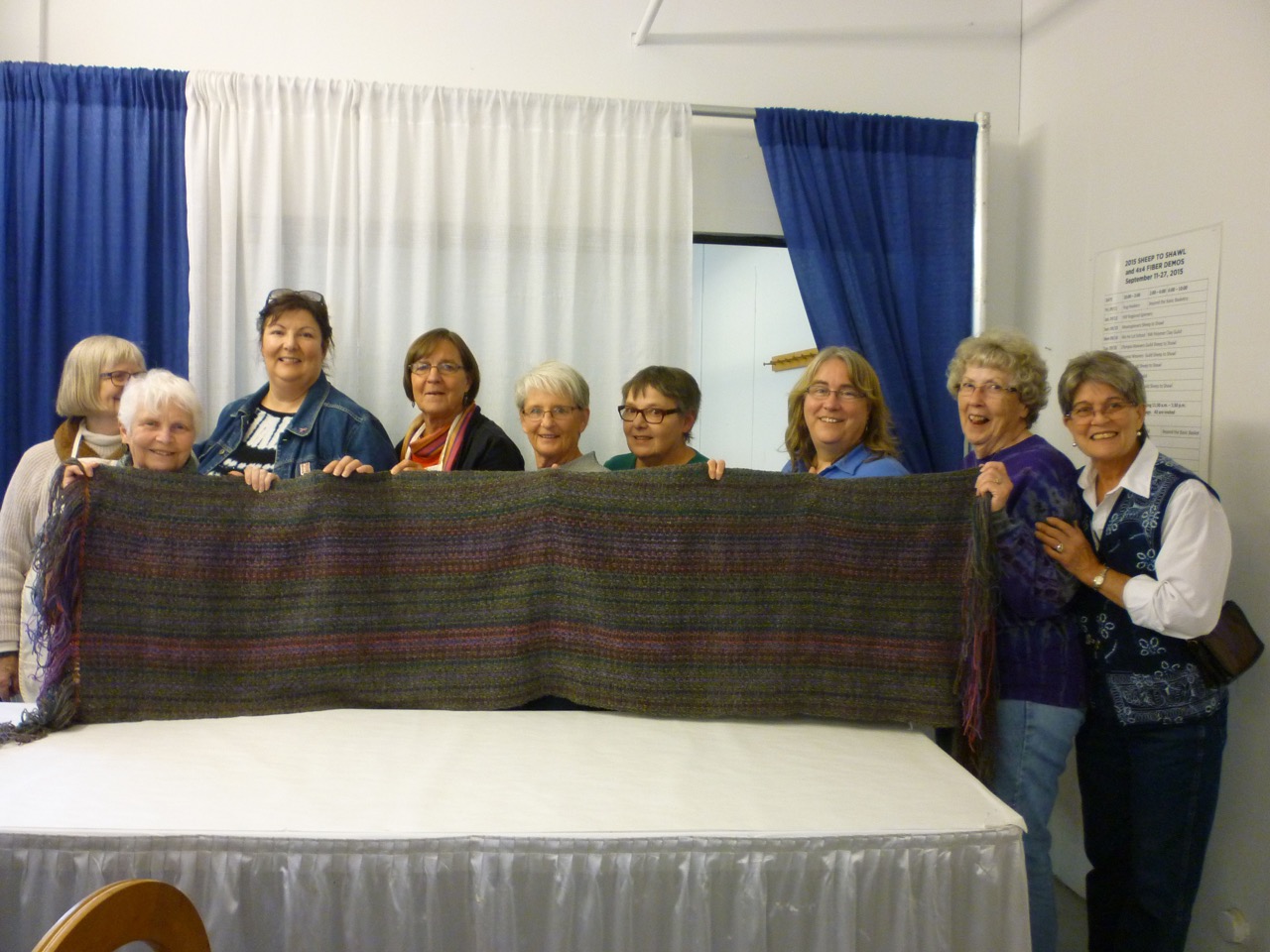 Sheep to Shawl 2015